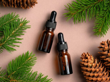 Brown glass dropper bottles mockup with pine tree branches and cones. Natural organic cosmetics, conifer essential oils. Flat lay, top view.