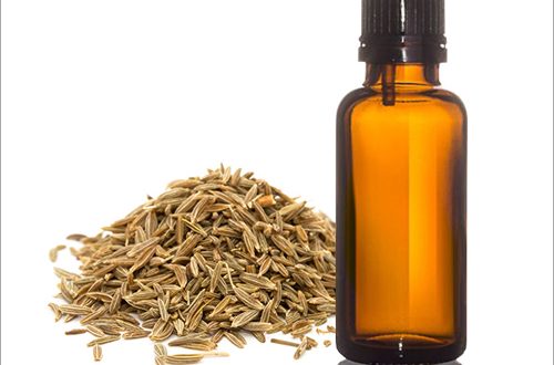 Caraway-Oil-