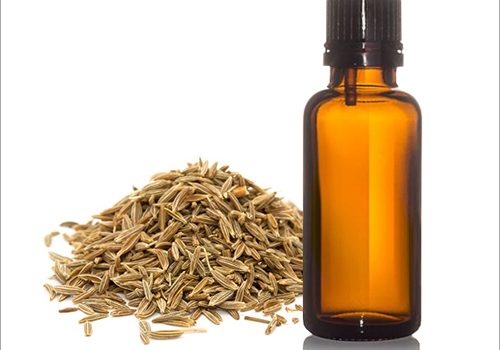 Caraway-Oil-