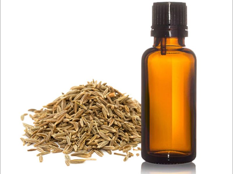 Caraway-Oil-