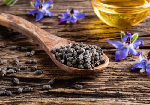 Borage seeds on a wooden spoon, with borage oil and flowers in the background