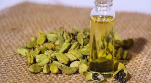 cardamom oil