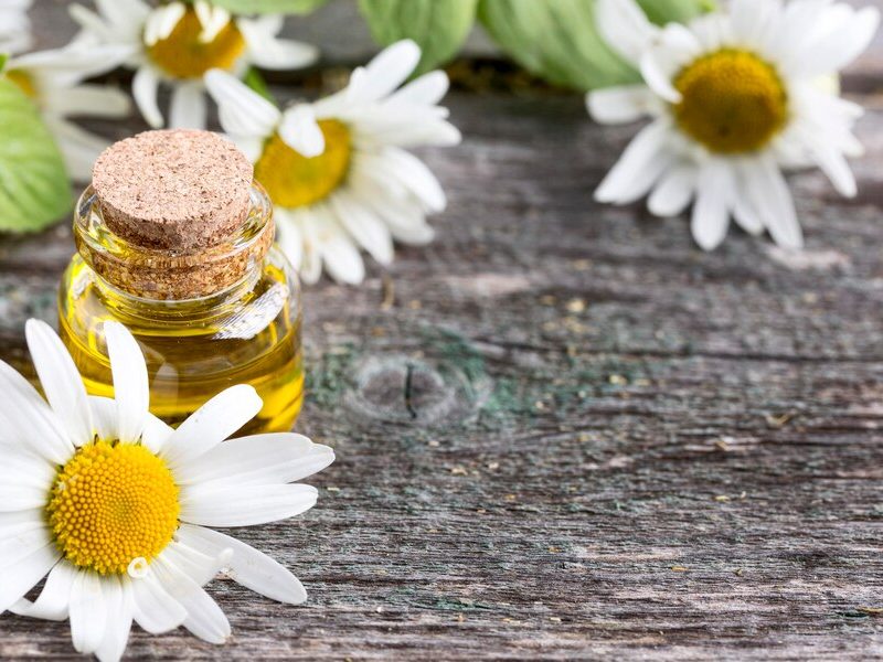 chamomile oil