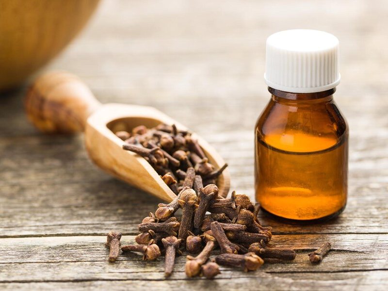 clove bud oil