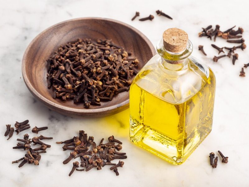 clove oil