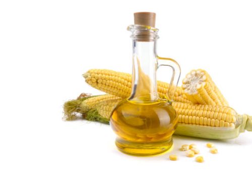 Corn oil in a carafe, peeled corn cobs and grains, text space isolated on a white background,horizontal view