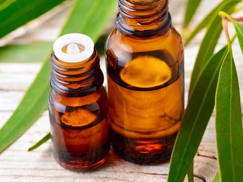 eucalyptus oil