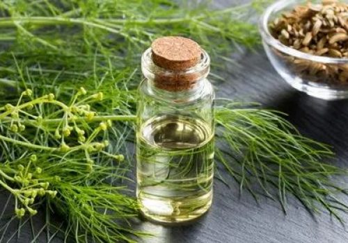 fennel seed oil