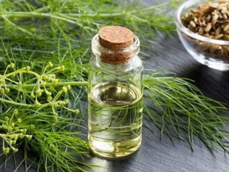 fennel seed oil