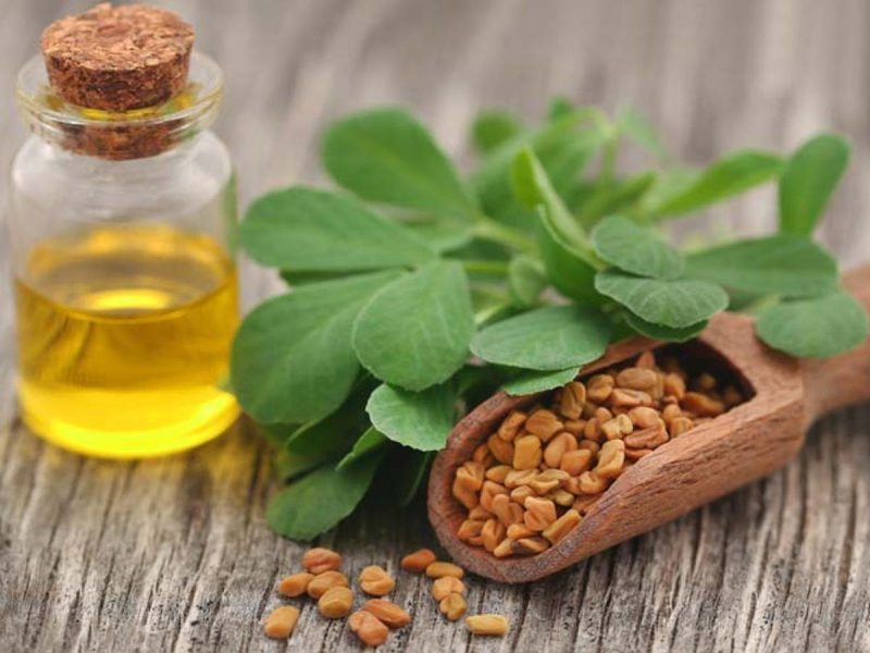 fenugreek-oil