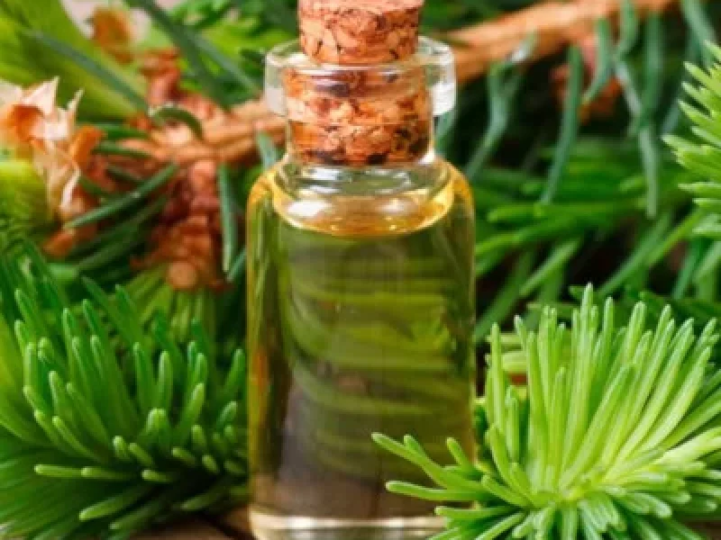 fir-needle-essential-oil