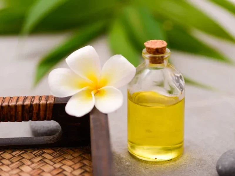 frangipani oil