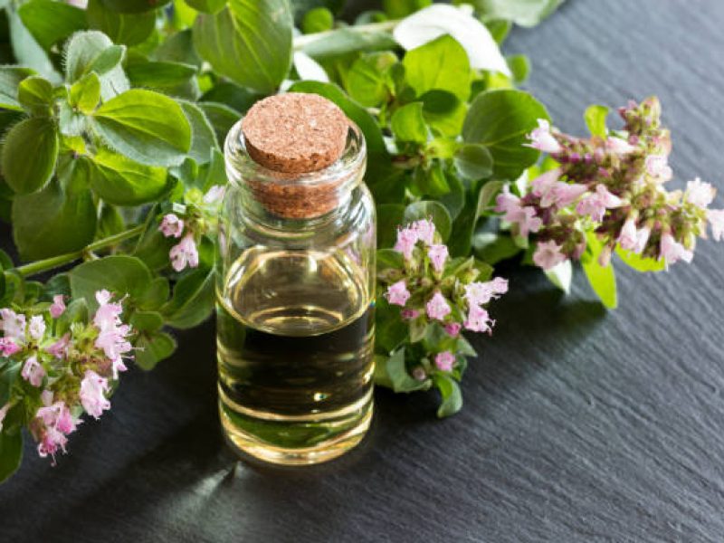 A bottle of oregano essential oil with blooming oregano twigs on dark background