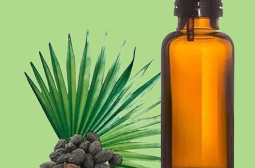 sa palmetto oil