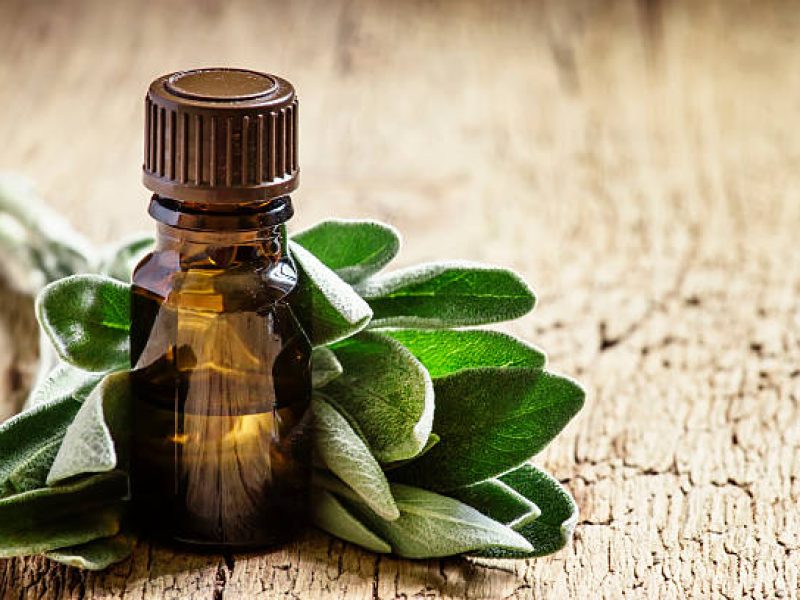 Essential sage oil, for aromatherapy, fresh sage leaves, vintage wooden background, selective focus